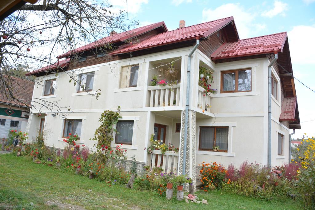 Pensiunea Margareta Sita Buzaului Exterior photo