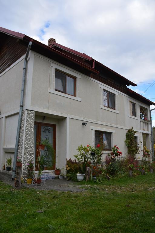 Pensiunea Margareta Sita Buzaului Exterior photo